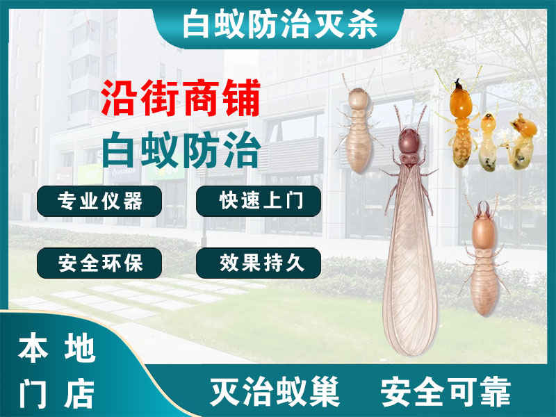 泰顺沿街商铺白蚁防治
