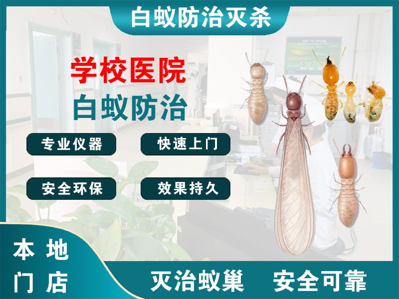 泰顺学校医院白蚁防治