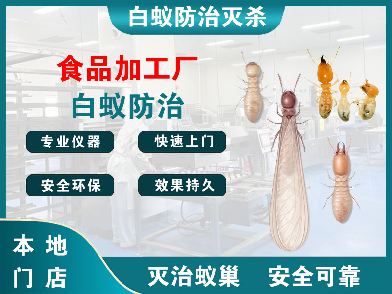 泰顺食品加工厂白蚁防治