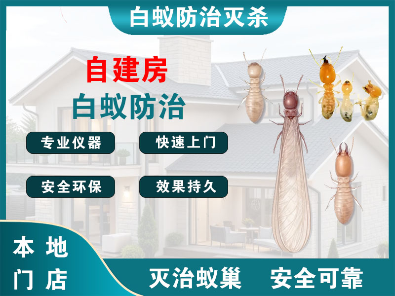 泰顺自建房白蚁防治