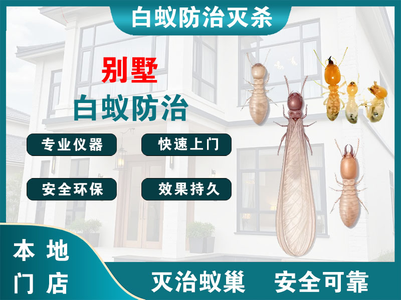 泰顺别墅白蚁防治